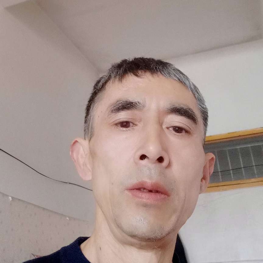 有魅力等待大雁的照片