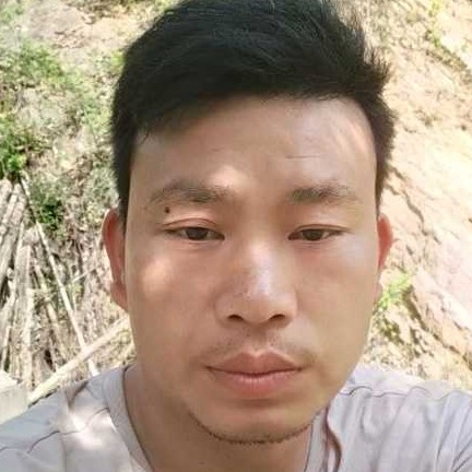 便当的自觉的照片