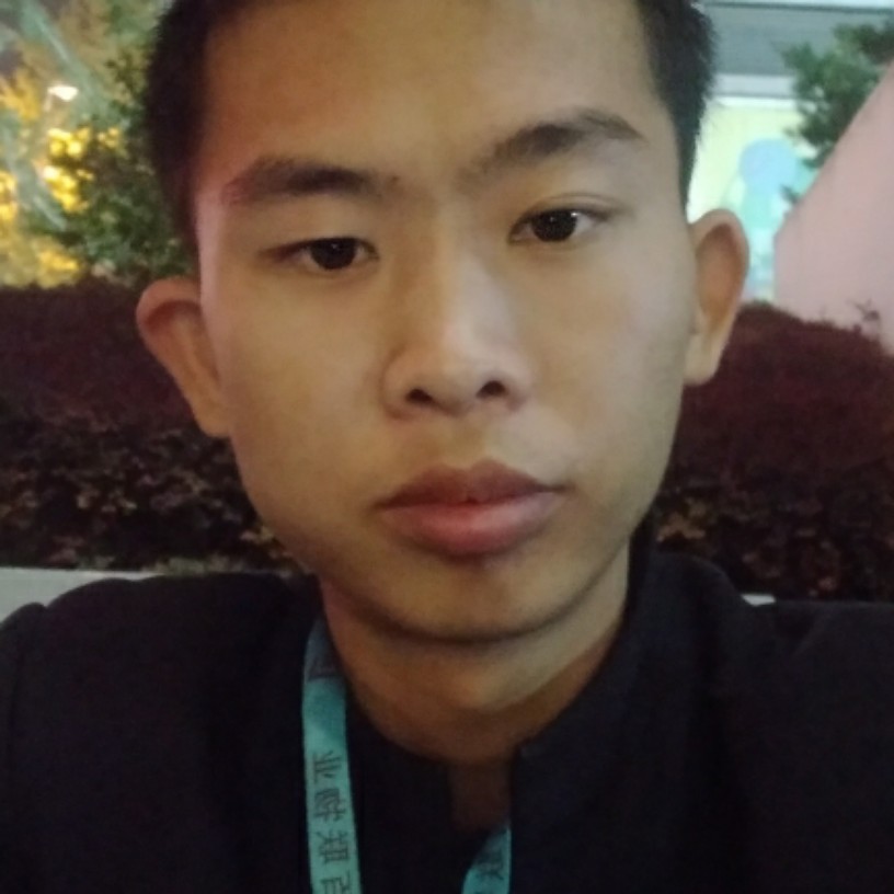 风趣的小鸭子的照片