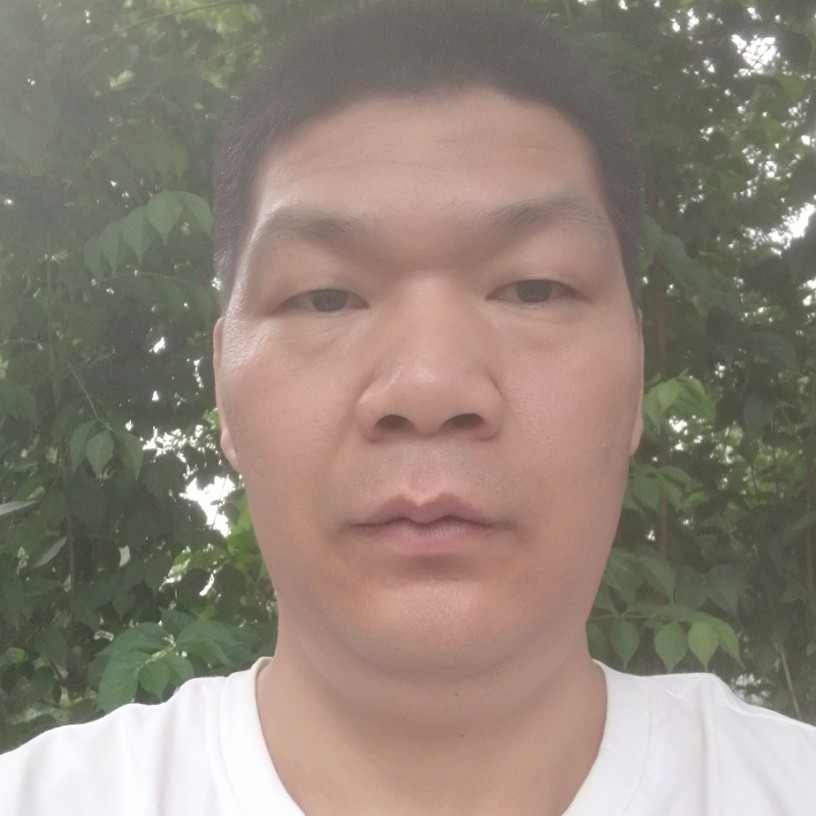 蓝天蹁跹独特的照片
