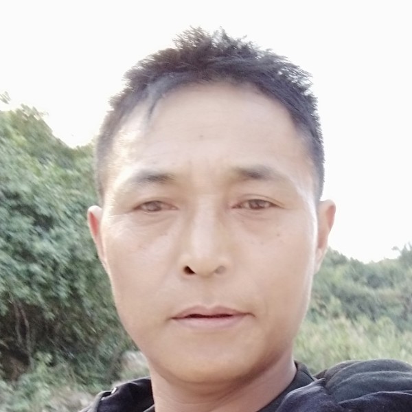 长颈鹿泪了贪玩的照片