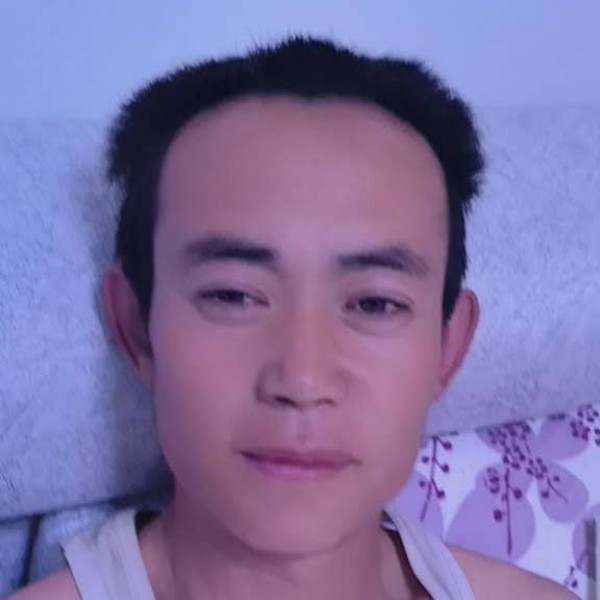 小刺猬漫步曾经的照片