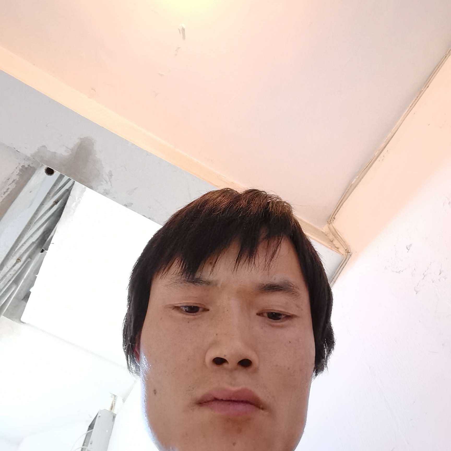 明亮相许鲜花的照片