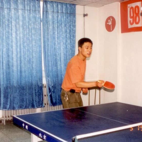 优秀的石头的照片