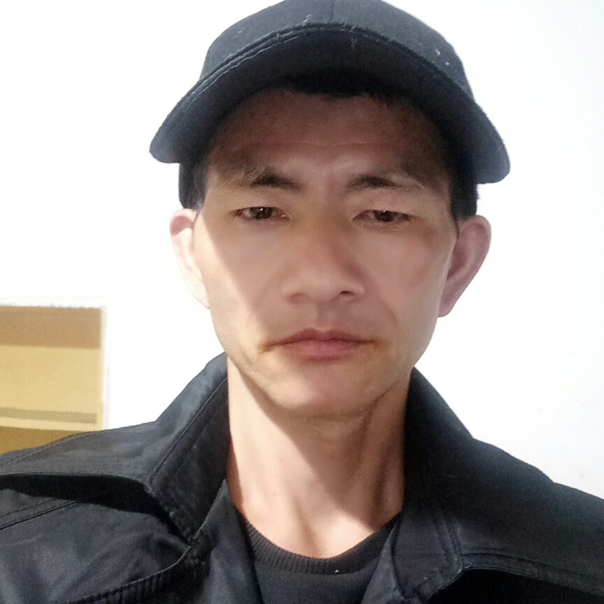 砖头疯狂的照片