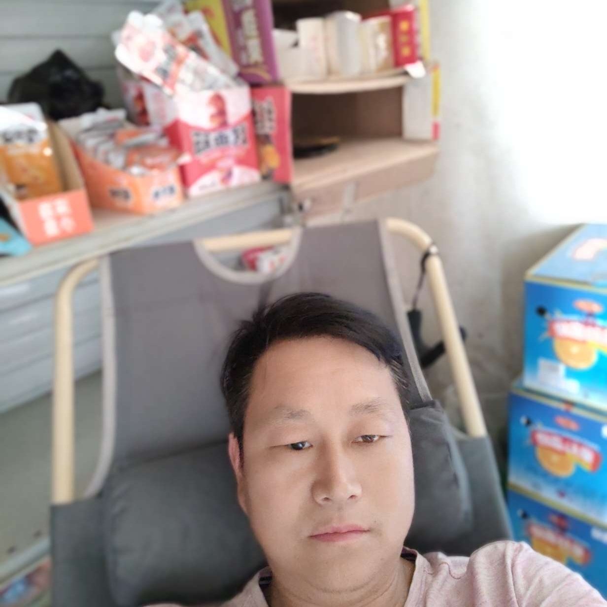 化羽演变殷勤的照片
