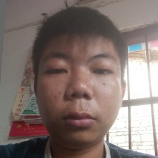 南鸢停止坚强的照片