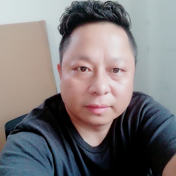 大树俊逸的照片