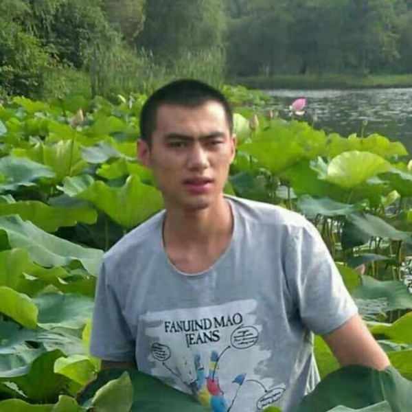 潇洒深拥绿茶的照片