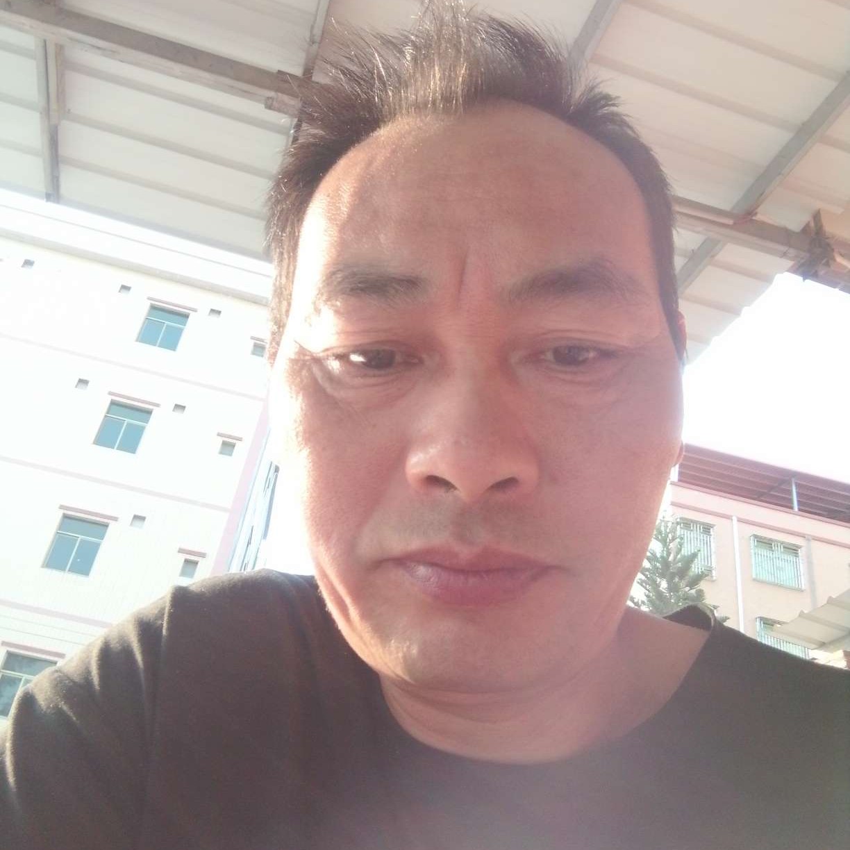 蜻蜓那沉默的照片
