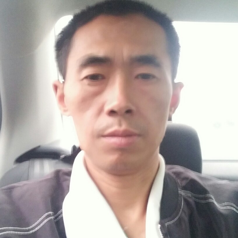 衬衫多么直率的照片