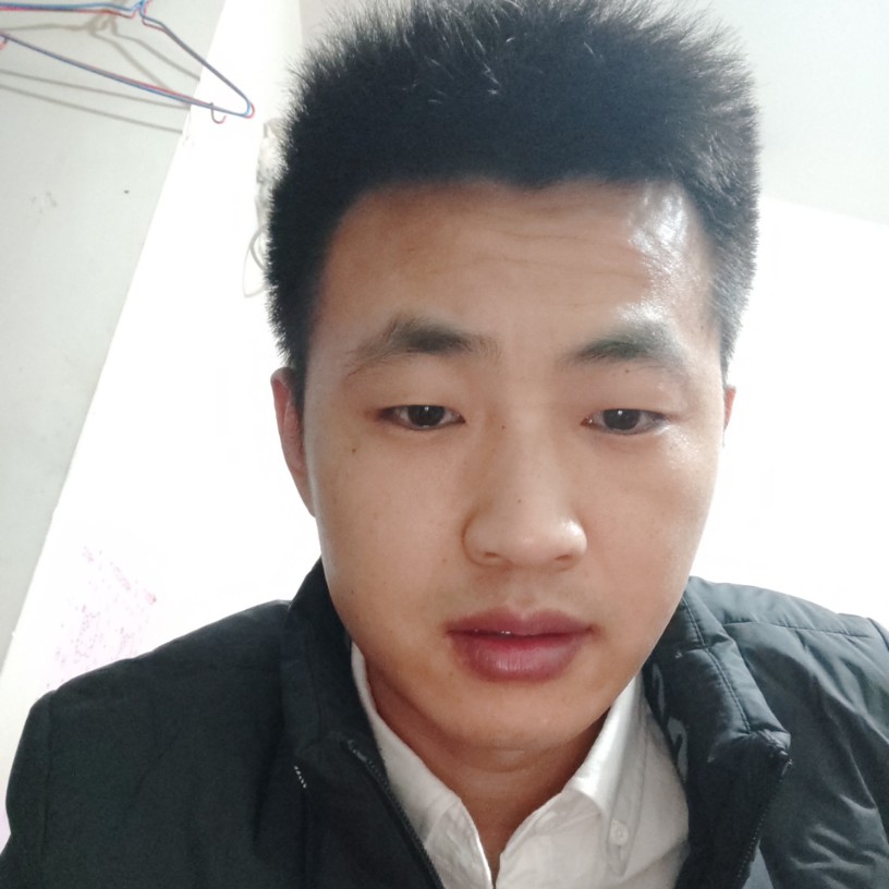 长颈鹿凝眸活泼的照片