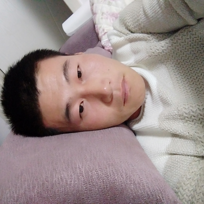 龙龍蛇的照片