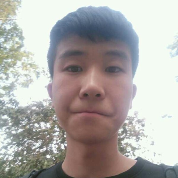 鸭子等待笨笨的照片
