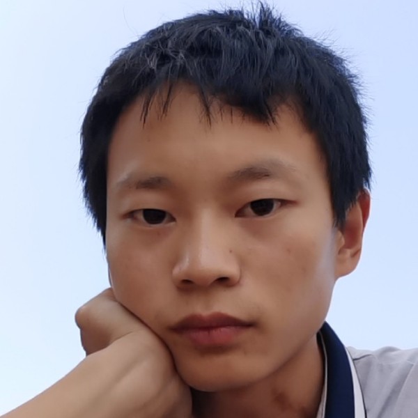 绚烂拾忆向日葵的照片