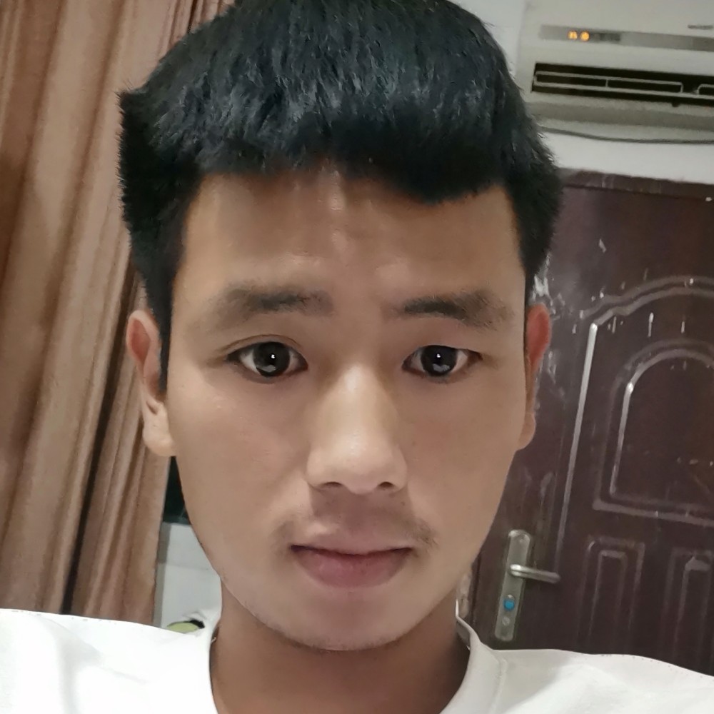 长情迎森槿的照片