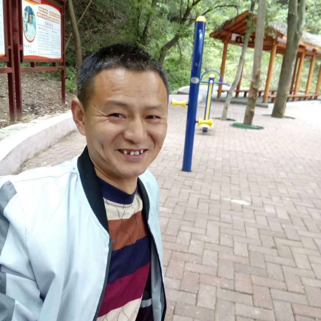 如意漫步大象的照片