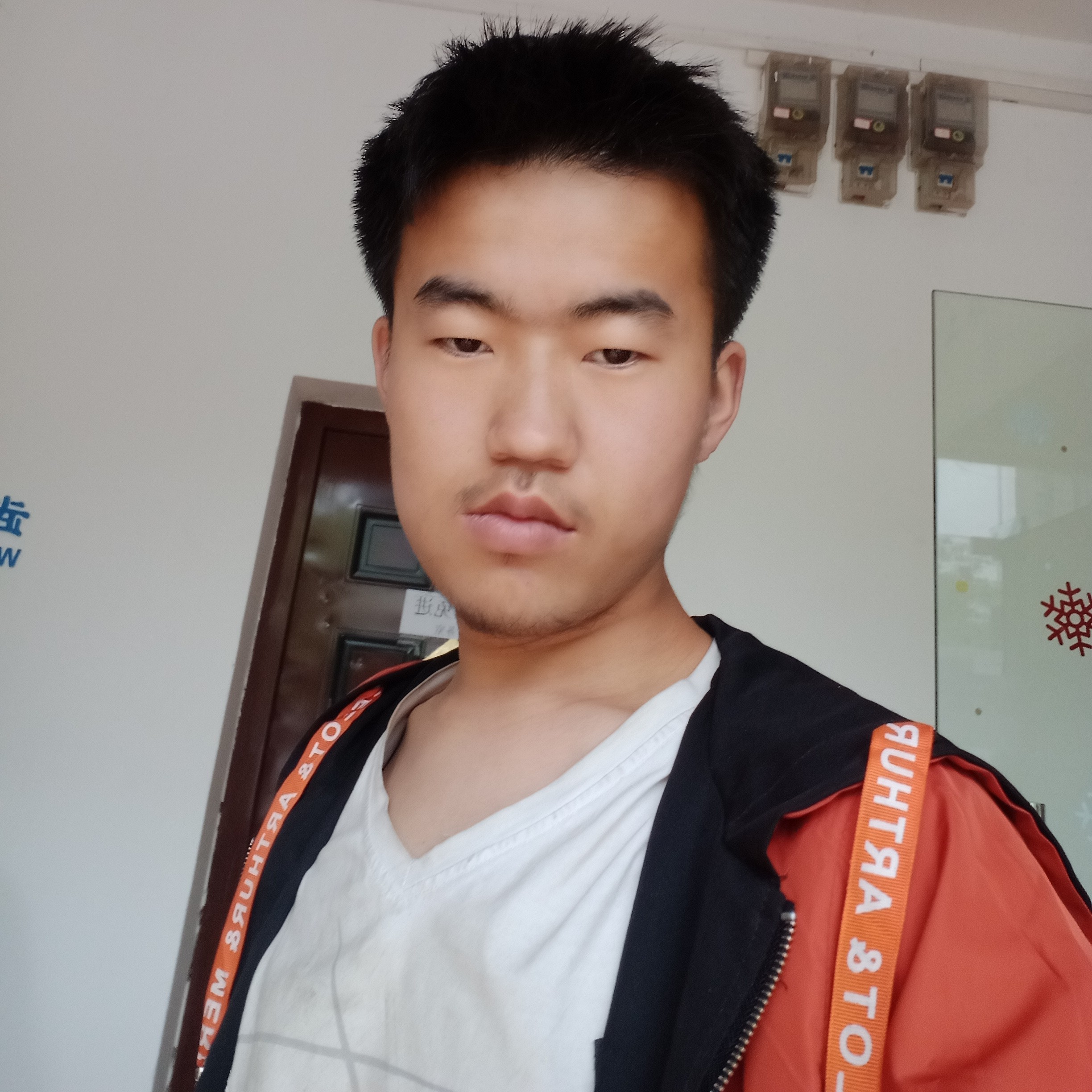 迷路多么芹菜的照片