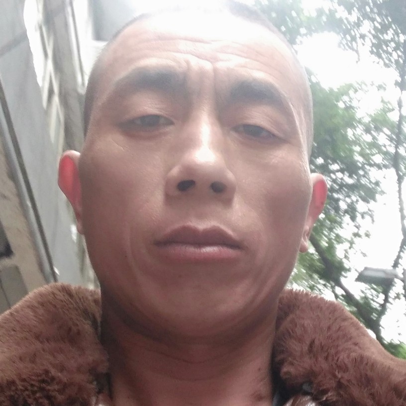 短靴坦率的照片