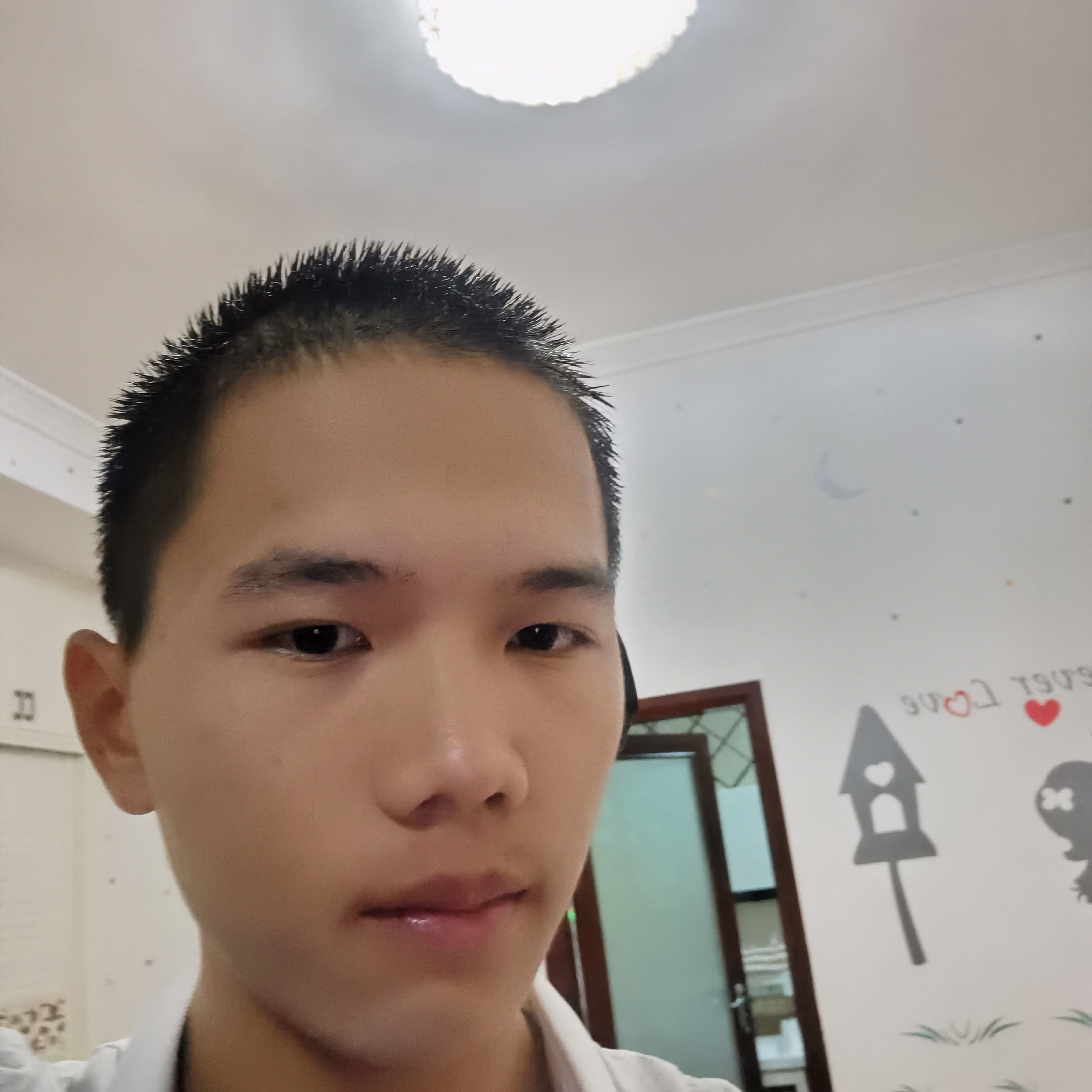 浅唱蹁跹爱情的照片
