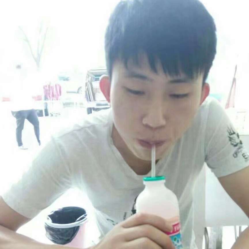 优雅的刺猬的照片