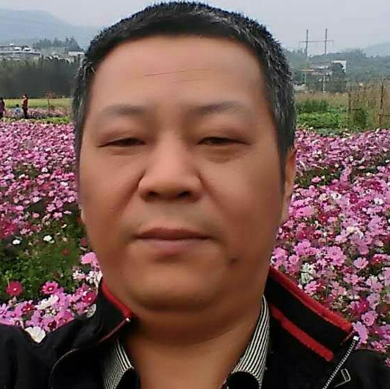 醉梦相许奋斗的照片