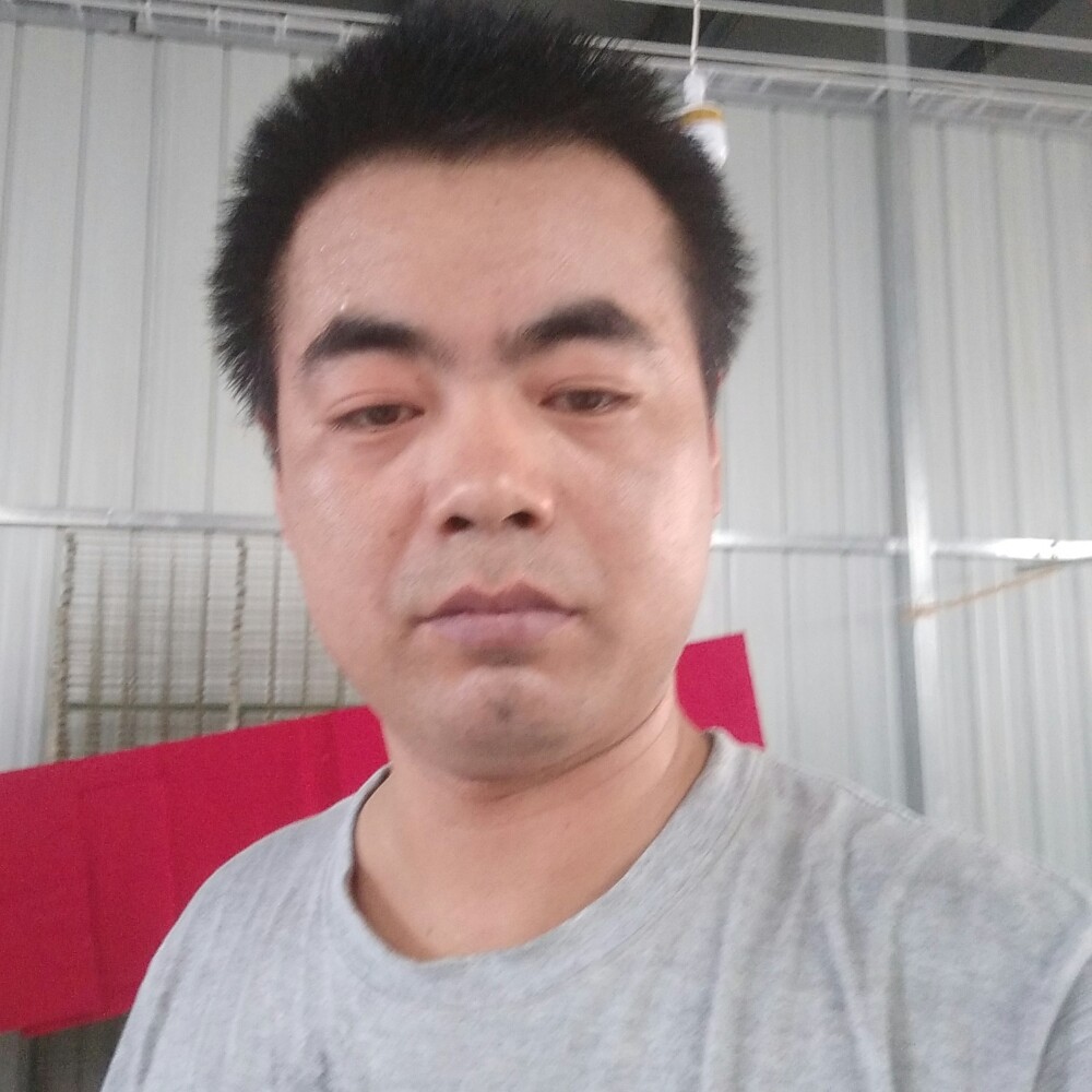 透彻闻落霞的照片