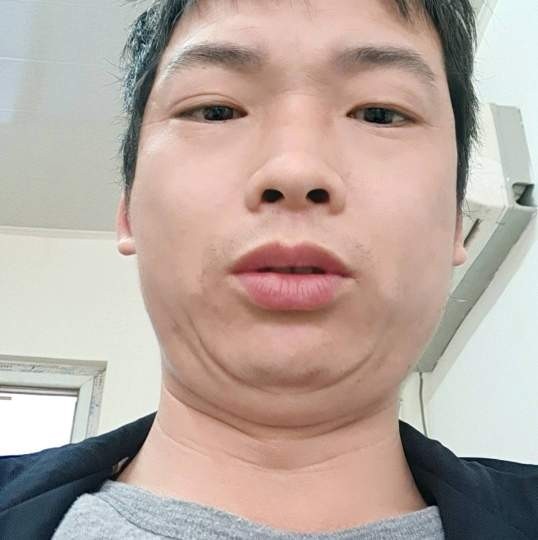 动人倾心向日葵的照片