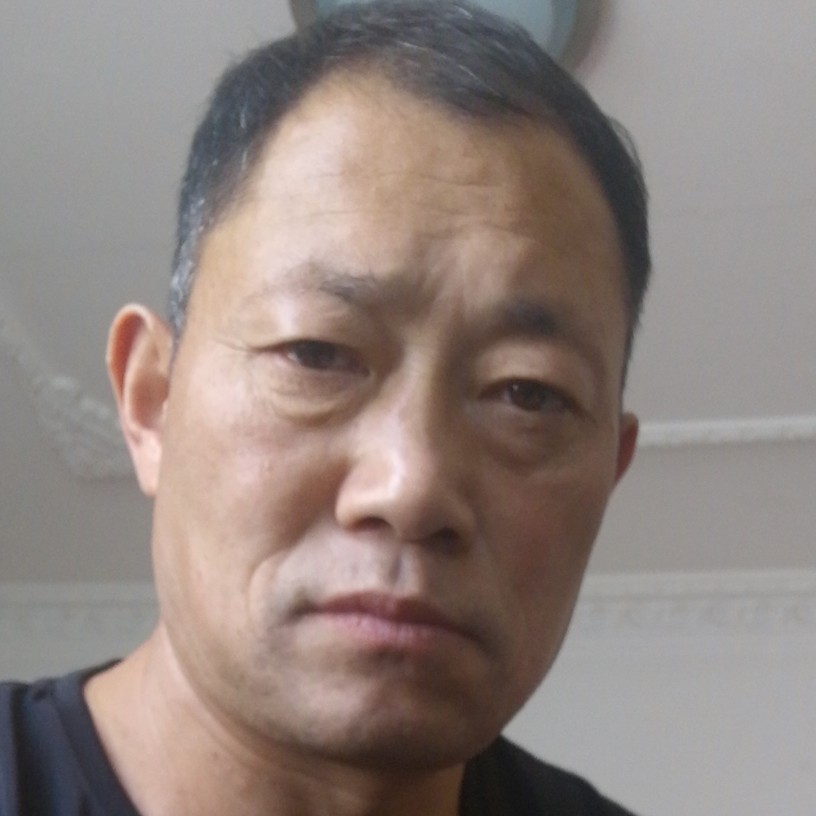 阳光踢羊的照片