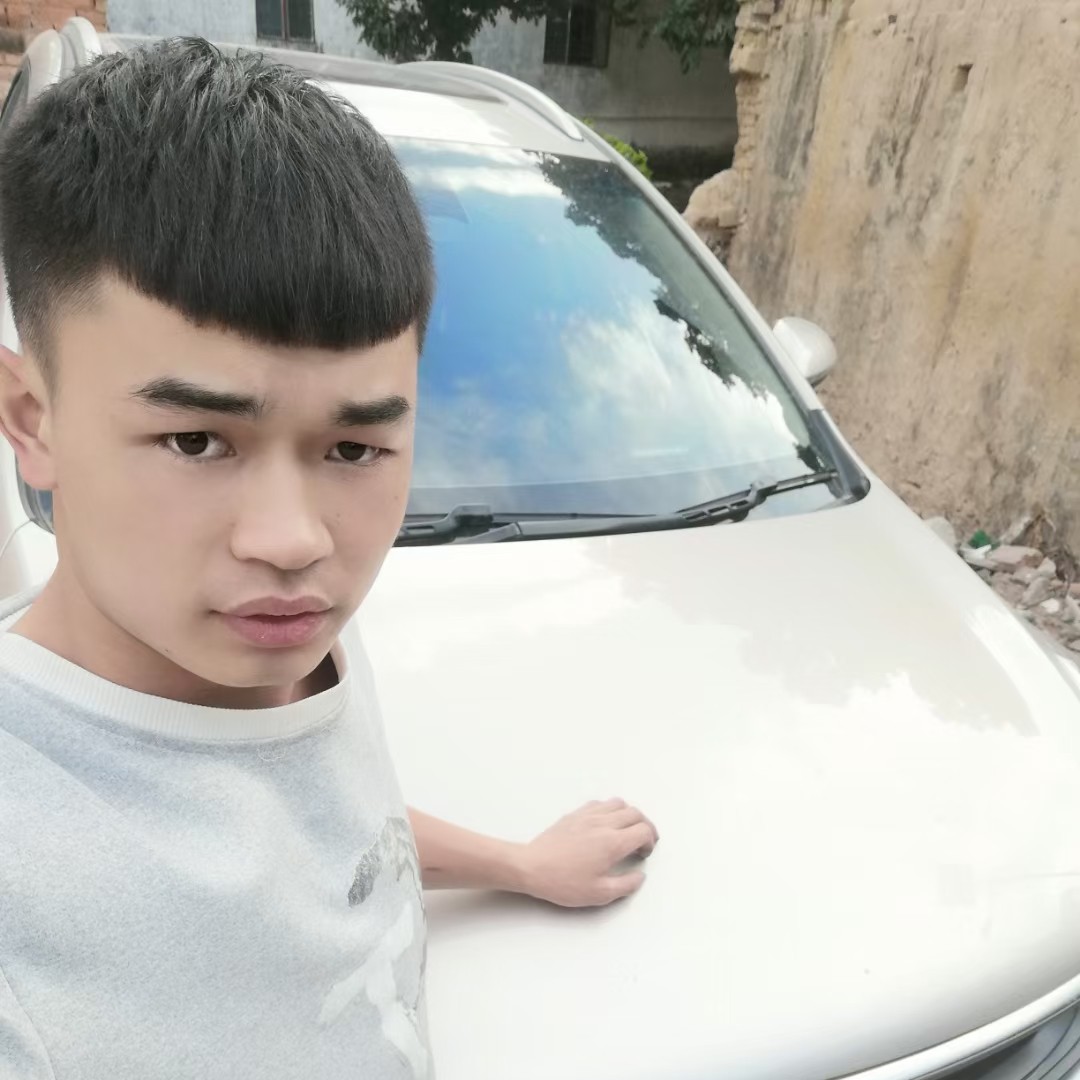 优美还大雁的照片