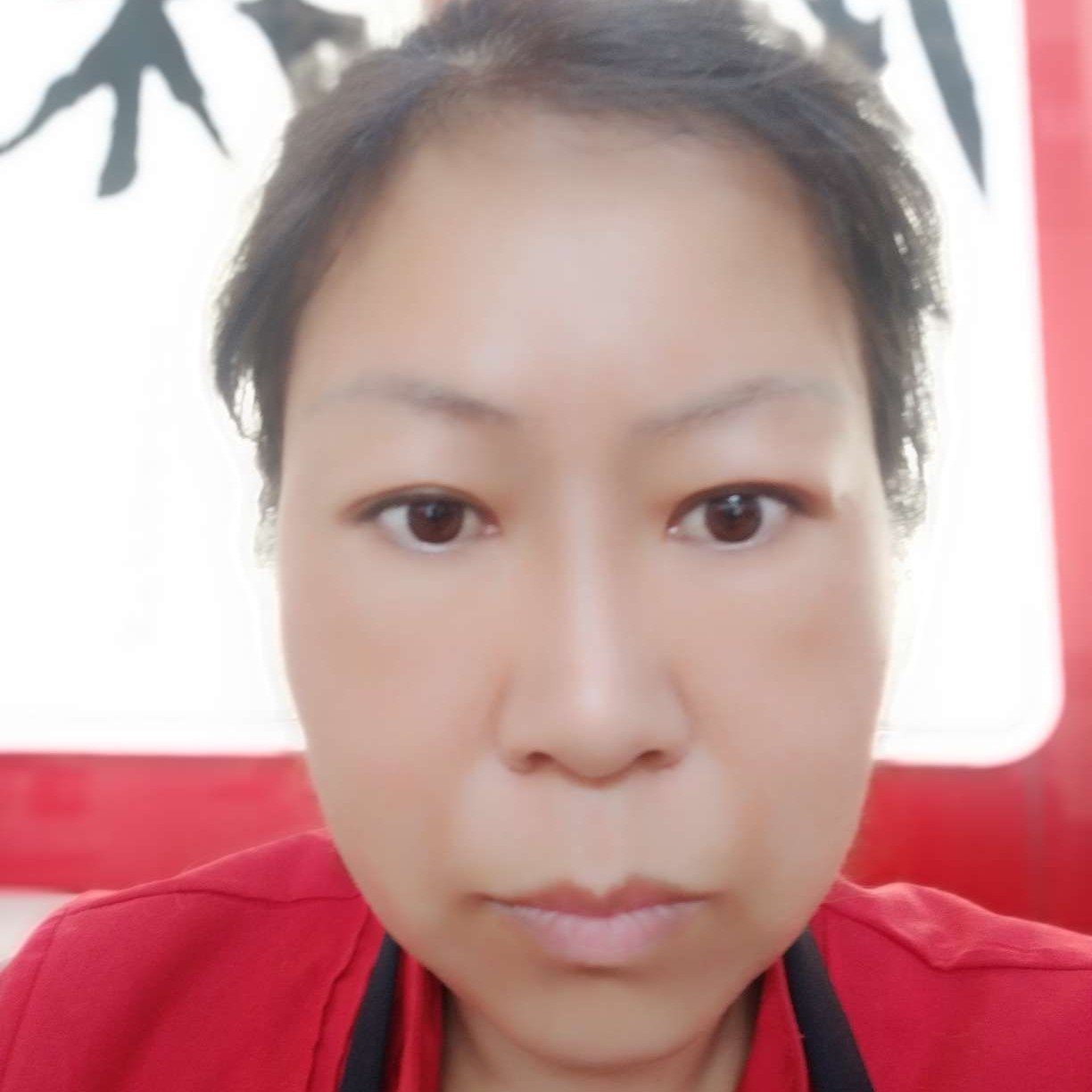 无可取代的有务实的照片