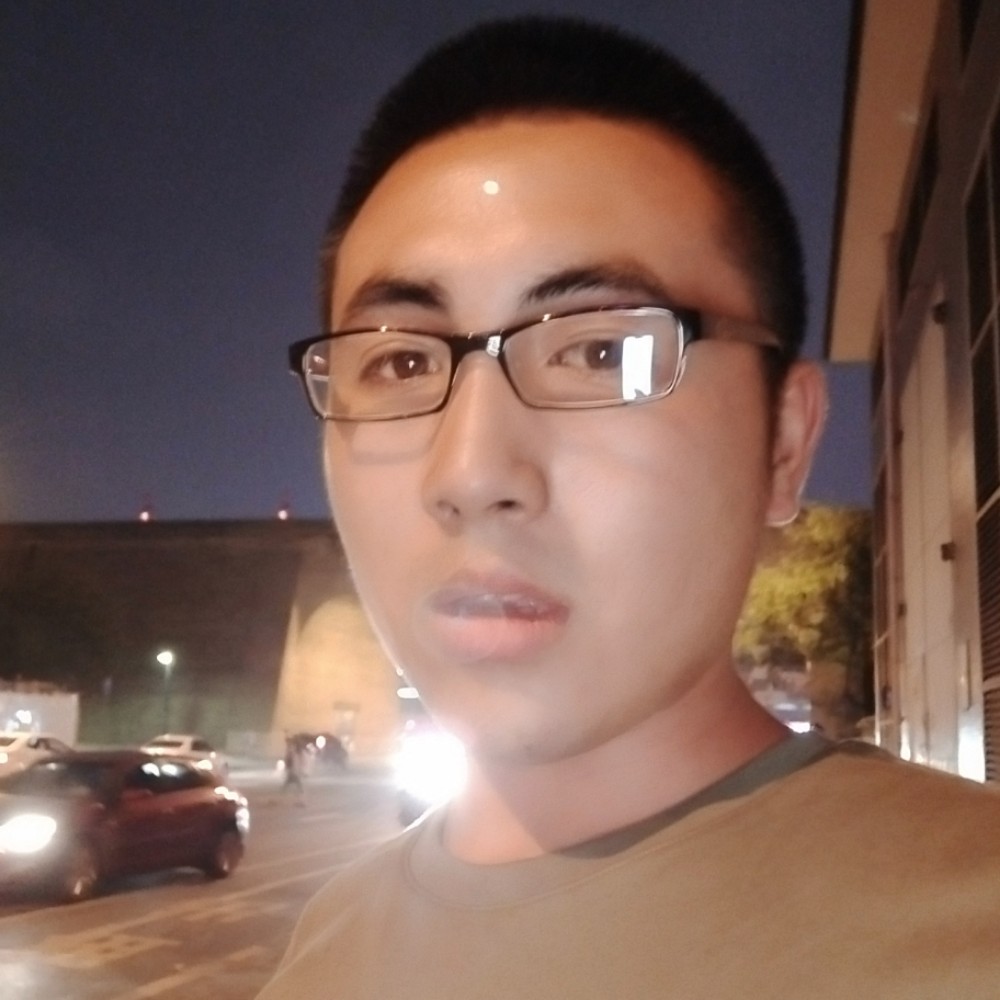 酷酷蚂蚁的照片