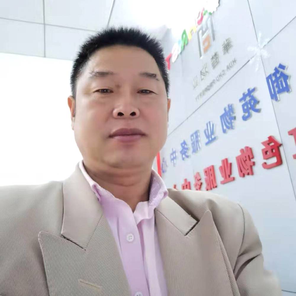 安陆的银杏树的照片