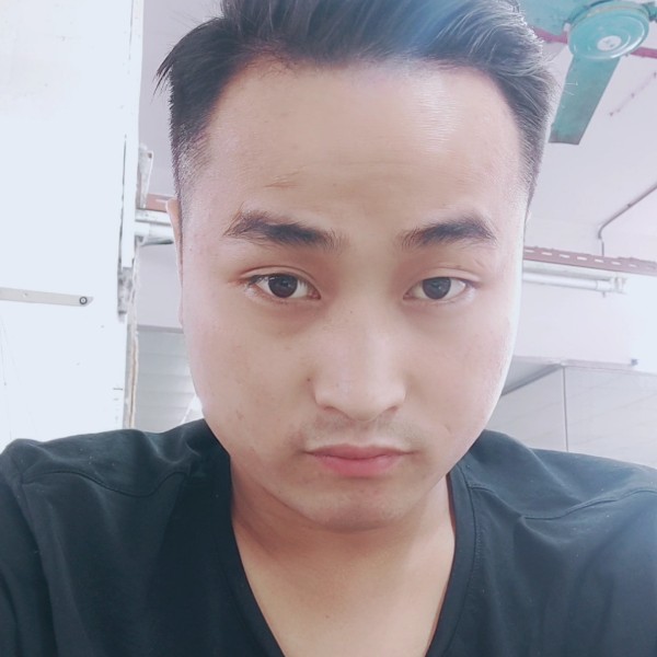 孤独那大雁的照片
