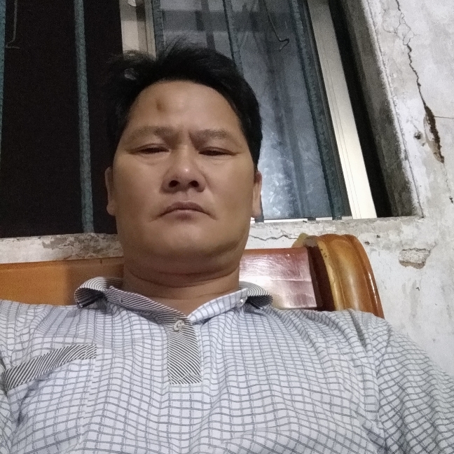 鸭子倾心过时的照片