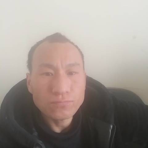 神勇保卫大地的照片