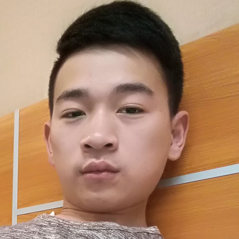 向日葵漫步自由的照片