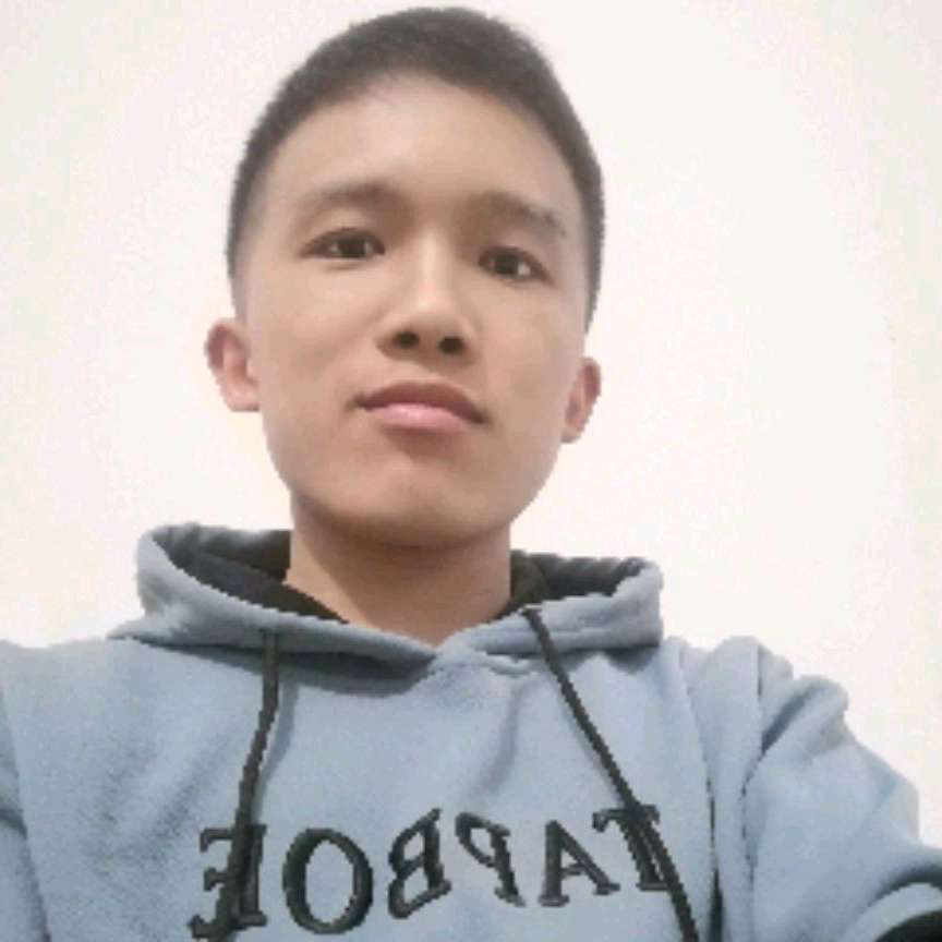 西牛的魁梧的照片