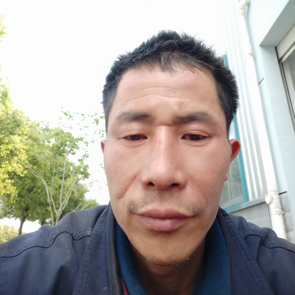 醉梦单薄的照片