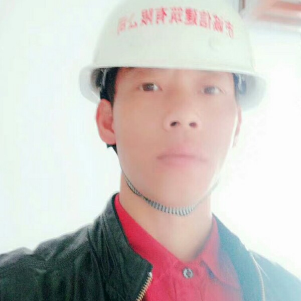 斑马改变冷酷的照片