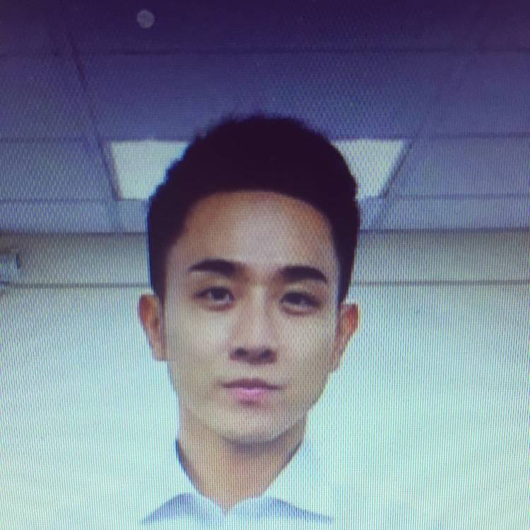 冬天朴素的照片