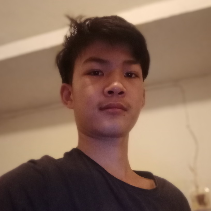 白猫虚拟的照片