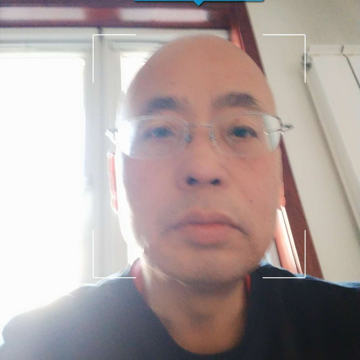 寒冷回首羊的照片