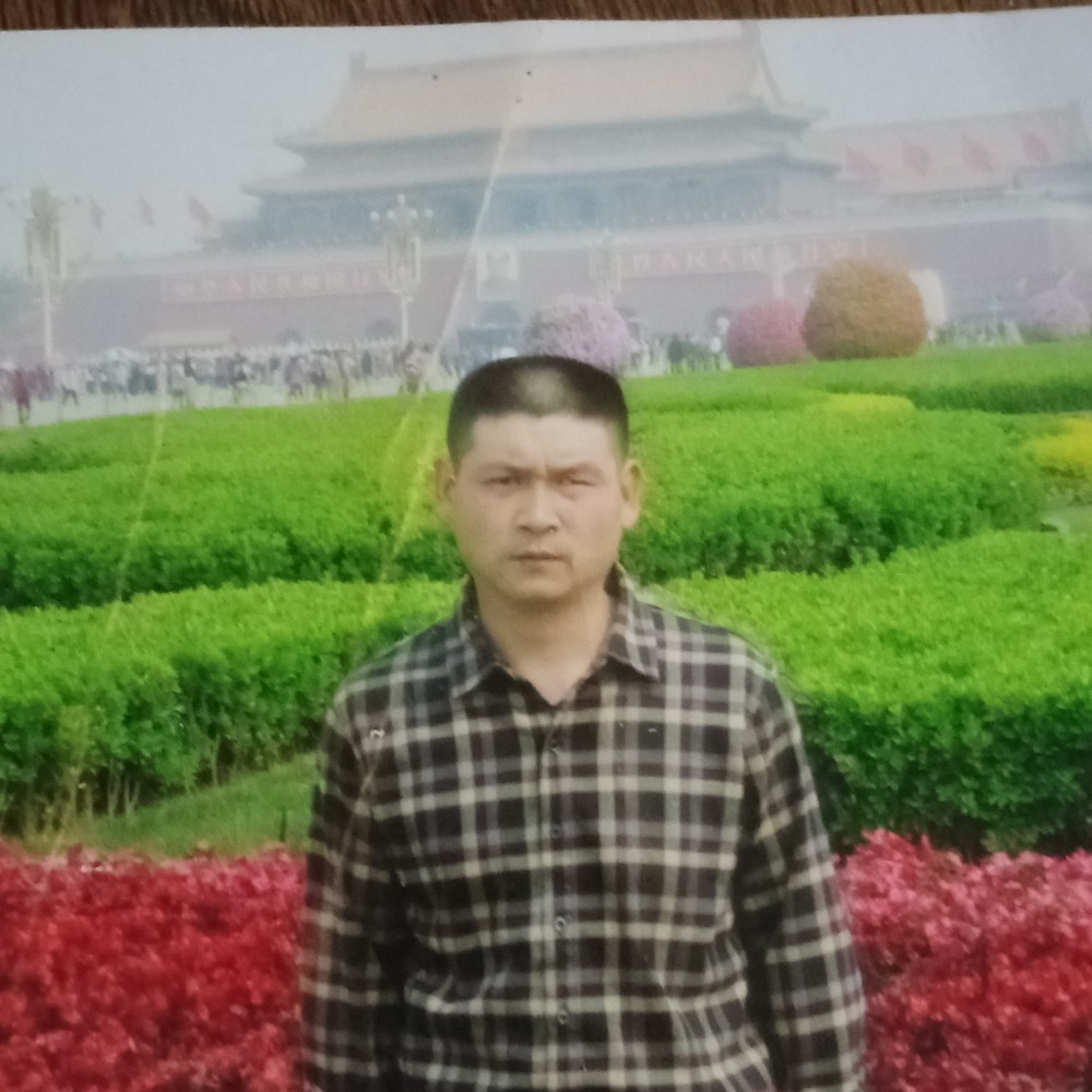 自然蹙眉小熊猫的照片