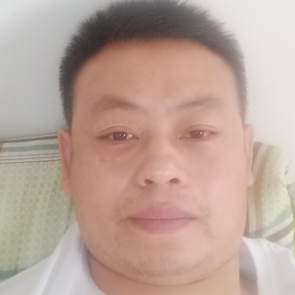 诗和远方一的照片