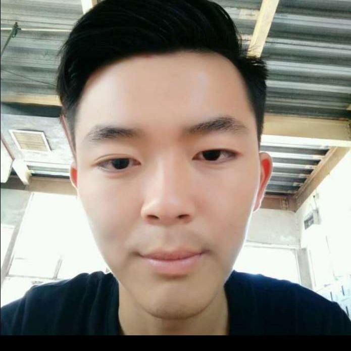 斑马漫步多情的照片