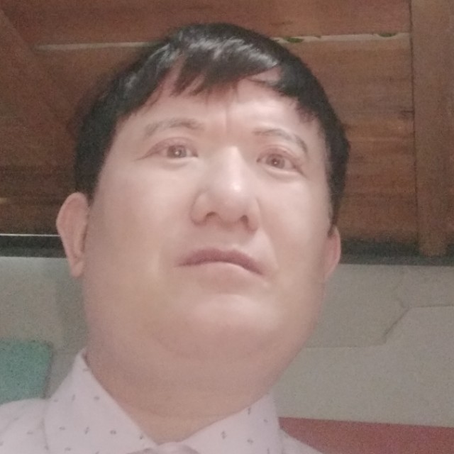 豌豆保卫无限的照片
