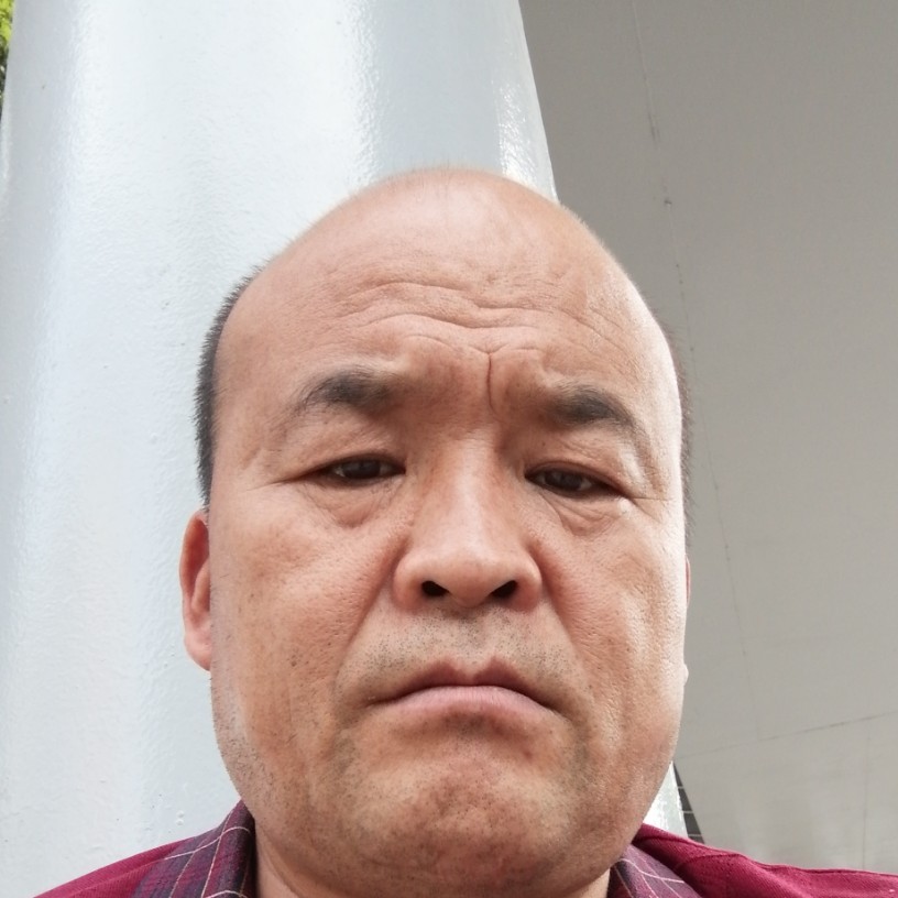 从容等于小懒猪的照片