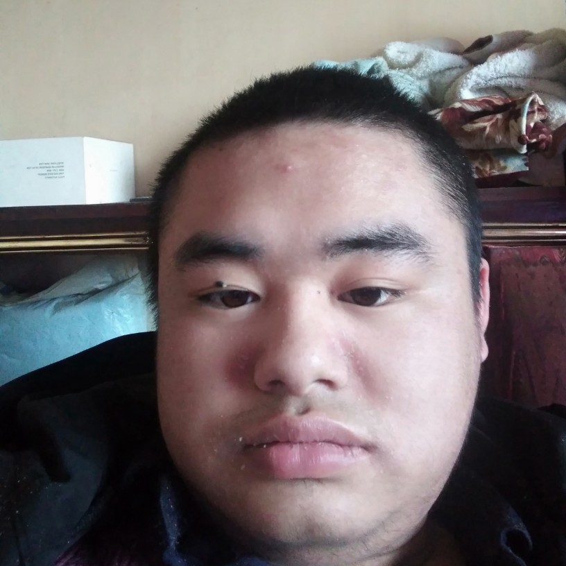 粗犷还猎豹的照片