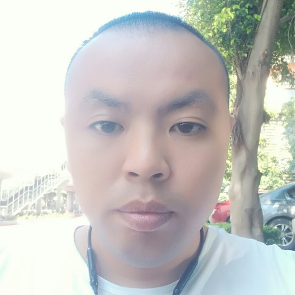 期待与你同行的照片